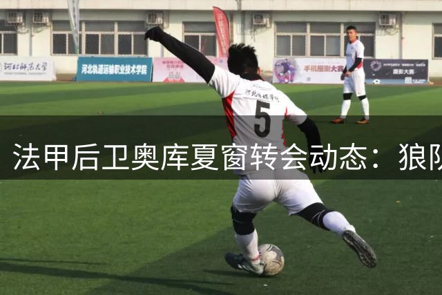 法甲后卫奥库夏窗转会动态：狼队与西甲球队竞相追逐